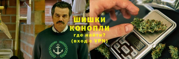 шишки Коряжма