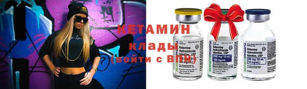 шишки Коряжма