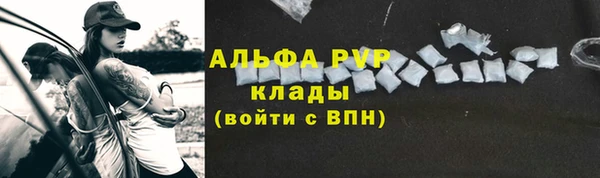 шишки Коряжма