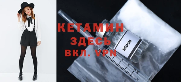 шишки Коряжма