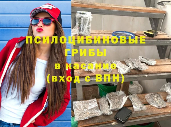 шишки Коряжма