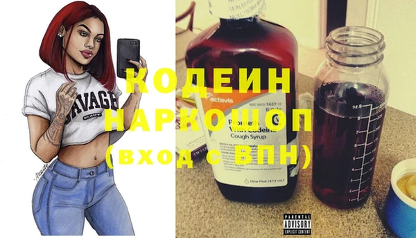 шишки Коряжма