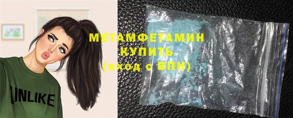 шишки Коряжма