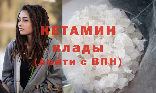 шишки Коряжма