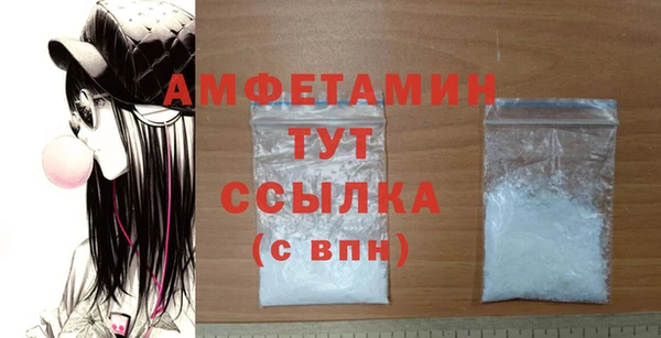 шишки Коряжма