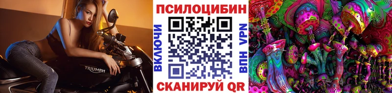 Купить где  Нязепетровск  Галлюциногенные грибы MAGIC MUSHROOMS 